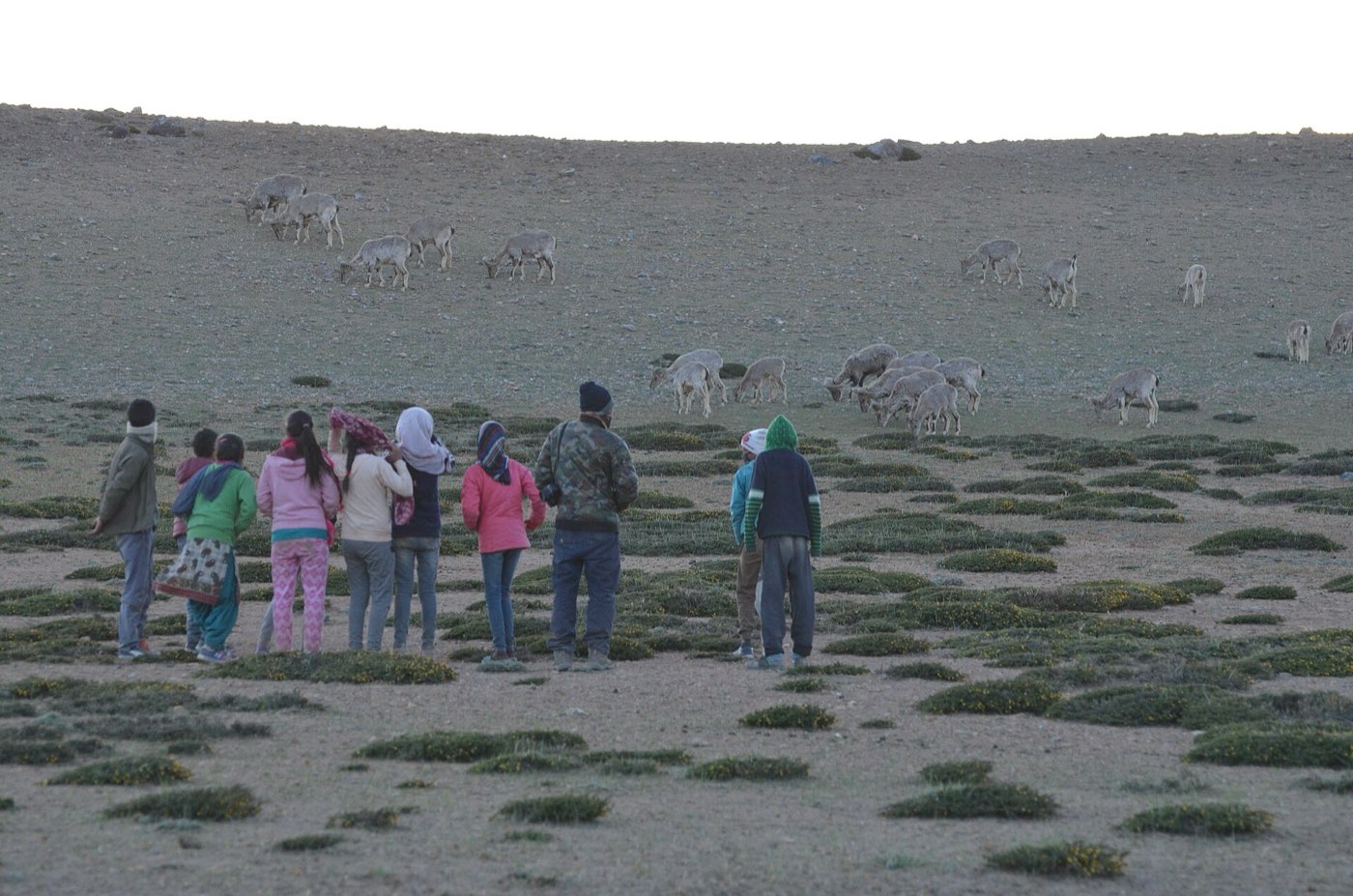 Students in the field with an instructor