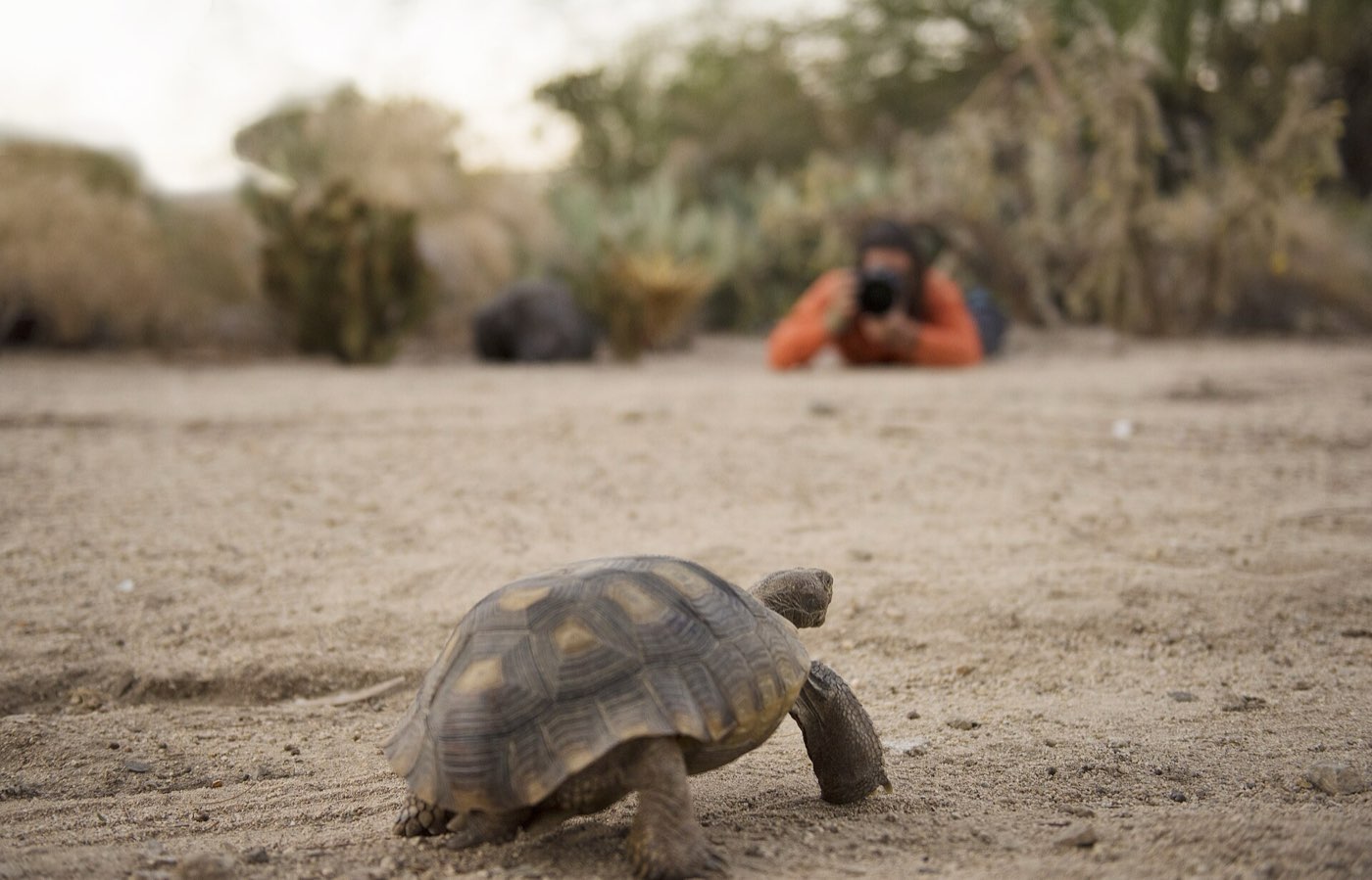 A photographer glassing the landscape