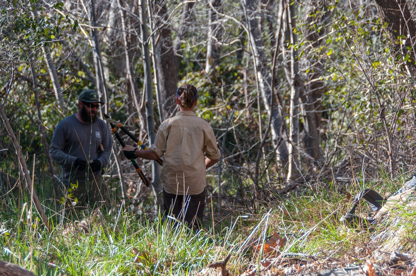 A volunteer crew cutting new tread